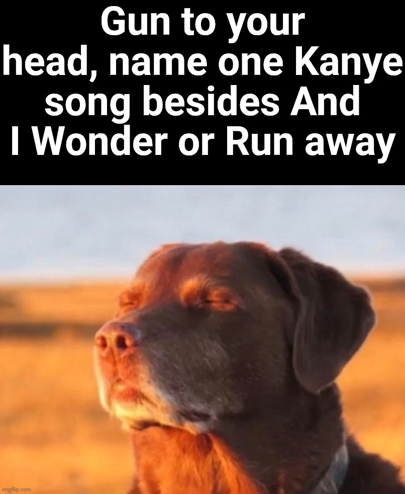 ​ | Gun to your head, name one Kanye song besides And I Wonder or Run away | image tagged in dog accepting fate | made w/ Imgflip meme maker
