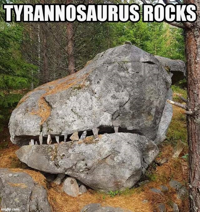 This meme rocks | image tagged in eyeroll | made w/ Imgflip meme maker