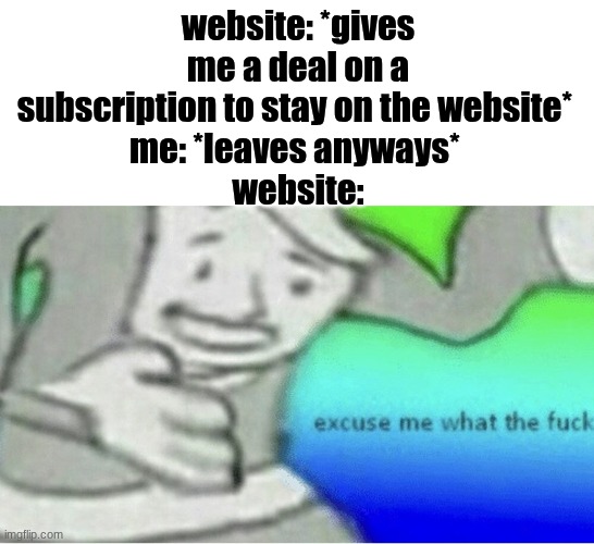 if I'm leaving I'm leaving | website: *gives me a deal on a subscription to stay on the website* 
me: *leaves anyways* 
website: | image tagged in excuse me wtf blank template | made w/ Imgflip meme maker