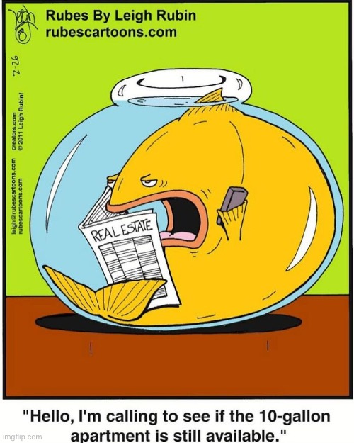 Rubes | image tagged in comics,rubes,fish,time to move | made w/ Imgflip meme maker