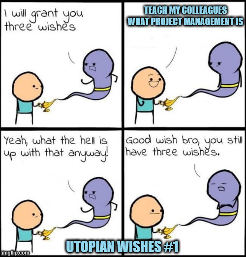 what is Project management? | TEACH MY COLLEAGUES WHAT PROJECT MANAGEMENT IS; UTOPIAN WISHES #1 | image tagged in i will grant you three wishes | made w/ Imgflip meme maker