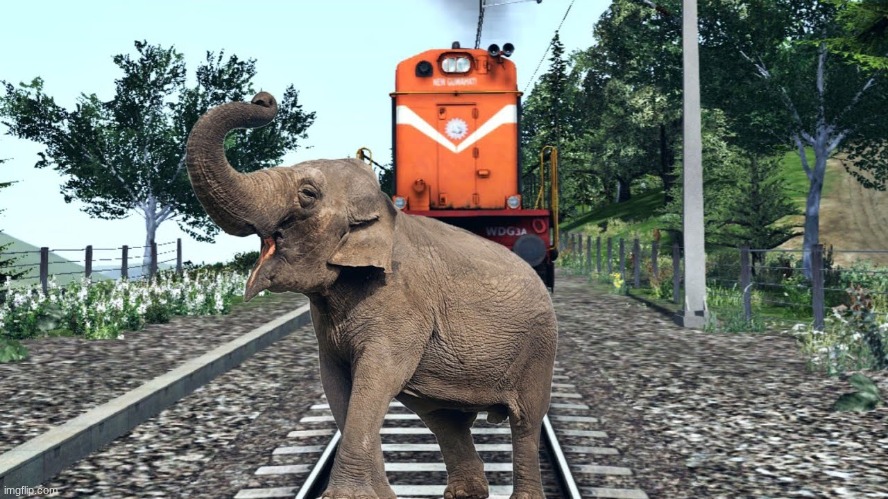Republican elephant gets run over by a Democratic train | image tagged in republican elephant gets run over by a democratic train | made w/ Imgflip meme maker