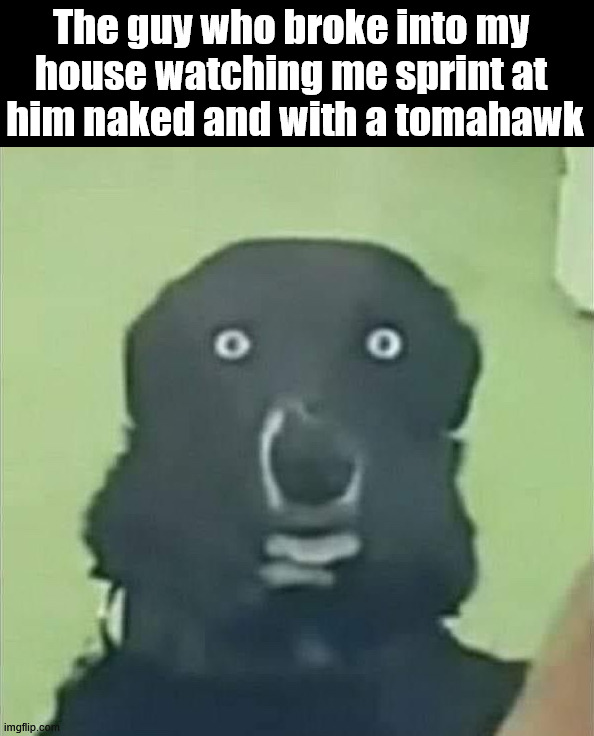 That should scare anyone | The guy who broke into my 
house watching me sprint at 
him naked and with a tomahawk | image tagged in dark humor | made w/ Imgflip meme maker