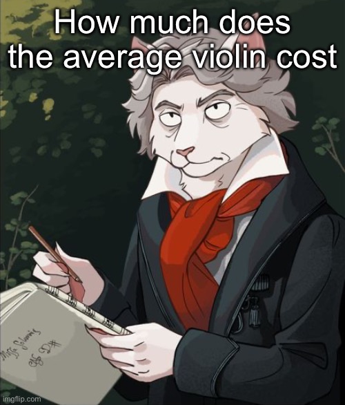 Cathoven | How much does the average violin cost | image tagged in cathoven | made w/ Imgflip meme maker