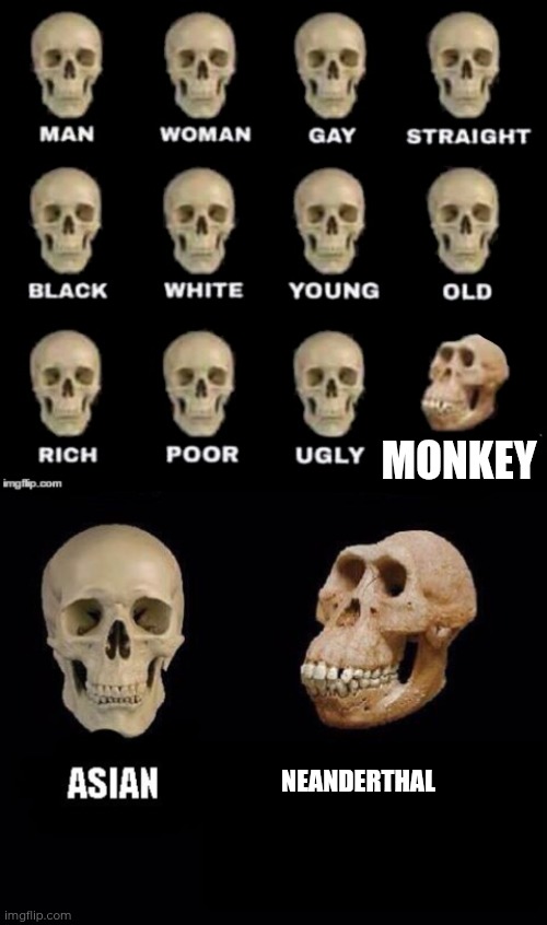 MONKEY; NEANDERTHAL | image tagged in idiot skull,empty skulls of truth | made w/ Imgflip meme maker