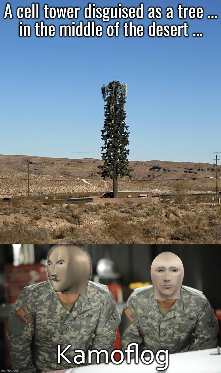 Not a good way to hide | A cell tower disguised as a tree ...
in the middle of the desert ... Kamoflog | image tagged in camouflage,you had one job | made w/ Imgflip meme maker