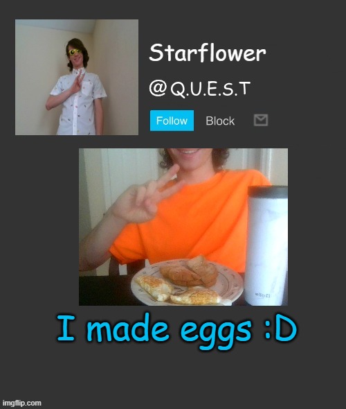 Starflower quest template | I made eggs :D | image tagged in starflower quest template | made w/ Imgflip meme maker
