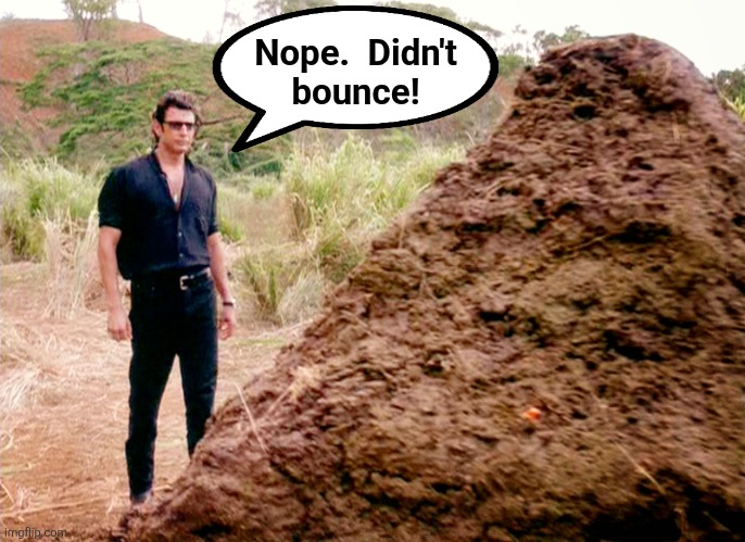 Memes, Poop, Jurassic Park | Nope.  Didn't
bounce! | image tagged in memes poop jurassic park | made w/ Imgflip meme maker