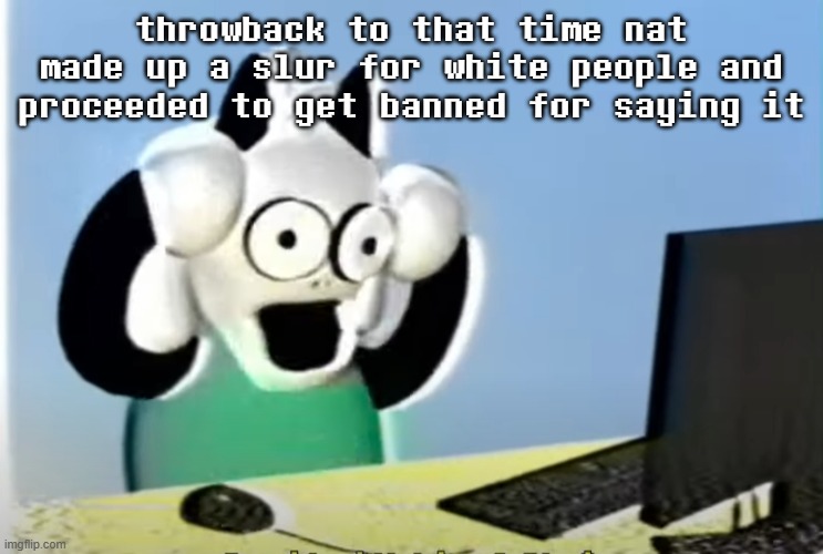 ralsei computer | throwback to that time nat made up a slur for white people and proceeded to get banned for saying it | image tagged in ralsei computer | made w/ Imgflip meme maker