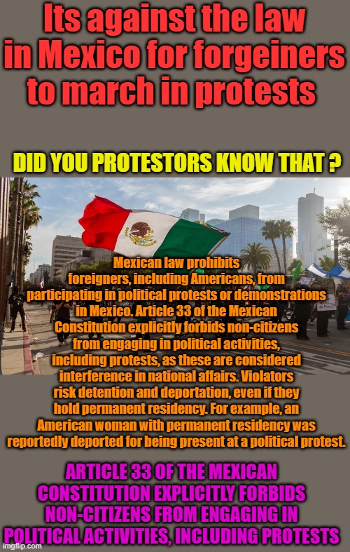 WAKE up, why should they be allowed to wave thier flag & burn yours ? Sounds like declaration of WAR. OK dems explain.. | Its against the law in Mexico for forgeiners to march in protests; DID YOU PROTESTORS KNOW THAT ? Mexican law prohibits foreigners, including Americans, from participating in political protests or demonstrations in Mexico. Article 33 of the Mexican Constitution explicitly forbids non-citizens from engaging in political activities, including protests, as these are considered interference in national affairs. Violators risk detention and deportation, even if they hold permanent residency. For example, an American woman with permanent residency was reportedly deported for being present at a political protest. ARTICLE 33 OF THE MEXICAN CONSTITUTION EXPLICITLY FORBIDS NON-CITIZENS FROM ENGAGING IN POLITICAL ACTIVITIES, INCLUDING PROTESTS | made w/ Imgflip meme maker