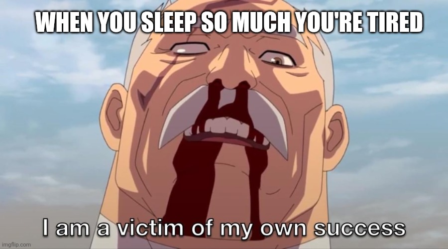 I am a victim of my own success | WHEN YOU SLEEP SO MUCH YOU'RE TIRED | image tagged in i am a victim of my own success | made w/ Imgflip meme maker