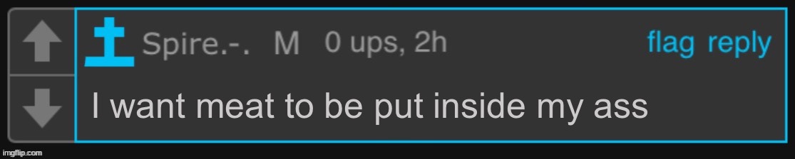 Spire blank comment but good | I want meat to be put inside my ass | image tagged in spire blank comment but good | made w/ Imgflip meme maker