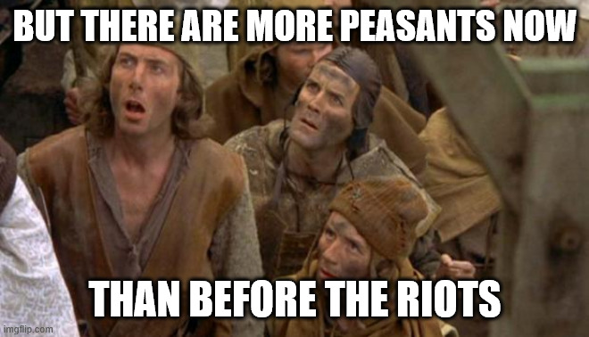 BUT THERE ARE MORE PEASANTS NOW THAN BEFORE THE RIOTS | image tagged in monty python peasants | made w/ Imgflip meme maker