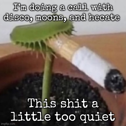 plant weeds | I’m doing a call with disco, moons, and hecate; This shit a little too quiet | image tagged in plant weeds,msmg | made w/ Imgflip meme maker