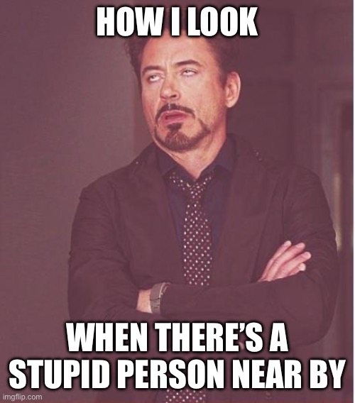 Face You Make Robert Downey Jr | HOW I LOOK; WHEN THERE’S A STUPID PERSON NEAR BY | image tagged in memes,face you make robert downey jr | made w/ Imgflip meme maker