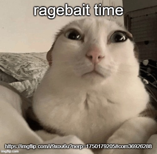 'bait her | ragebait time; https://imgflip.com/i/9xou6u?nerp=1750179205#com36926288 | image tagged in goober | made w/ Imgflip meme maker
