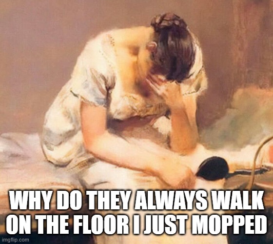 sad | WHY DO THEY ALWAYS WALK ON THE FLOOR I JUST MOPPED | image tagged in sad | made w/ Imgflip meme maker