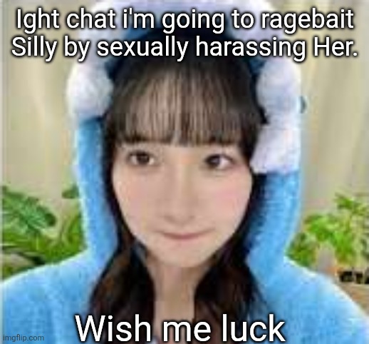 brainless  goober | Ight chat i'm going to ragebait Silly by sexually harassing Her. Wish me luck | image tagged in brainless goober | made w/ Imgflip meme maker