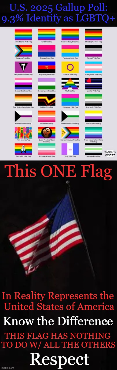 Identity politics has nothing to do with our American flag & has everything to do with RESPECT.... | U.S. 2025 Gallup Poll:
9.3% Identify as LGBTQ+; READERS
DIGEST; This ONE Flag; In Reality Represents the 
United States of America; Know the Difference; THIS FLAG HAS NOTHING 
TO DO W/ ALL THE OTHERS; Respect | image tagged in flags,gay pride,american flag,know the difference,identity,reality | made w/ Imgflip meme maker