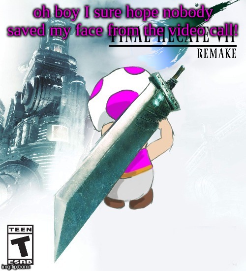Final Hecate VII (thank you disco) | oh boy I sure hope nobody saved my face from the video call! | image tagged in final hecate vii thank you disco | made w/ Imgflip meme maker