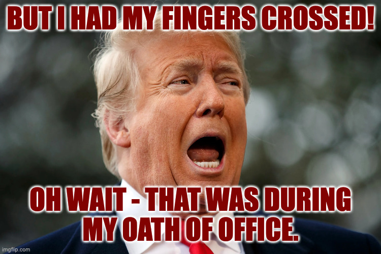 BUT I HAD MY FINGERS CROSSED! OH WAIT - THAT WAS DURING
MY OATH OF OFFICE. | made w/ Imgflip meme maker