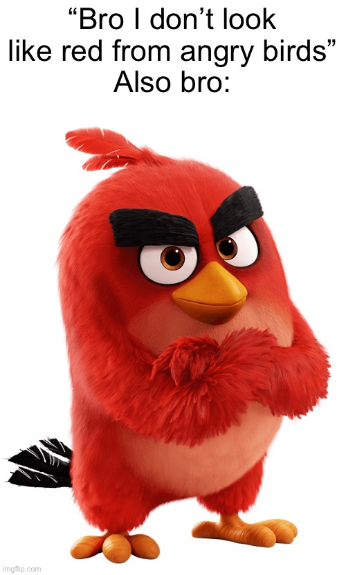 True story, my irl friends sometimes call me angry birds | “Bro I don’t look like red from angry birds”
Also bro: | made w/ Imgflip meme maker