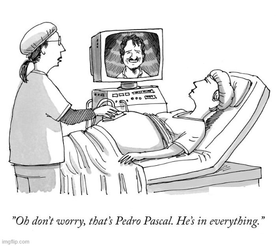 Pedro's in Everything | image tagged in comics,hospital,pregnant woman,ultrasound,pedro pascal,everything | made w/ Imgflip meme maker