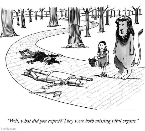 No Vital Organs | image tagged in comics | made w/ Imgflip meme maker