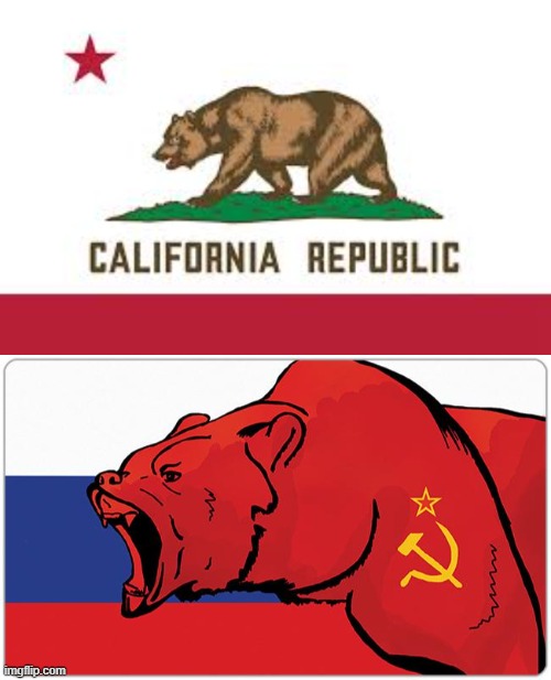 Are they the same bear? | image tagged in communism | made w/ Imgflip meme maker