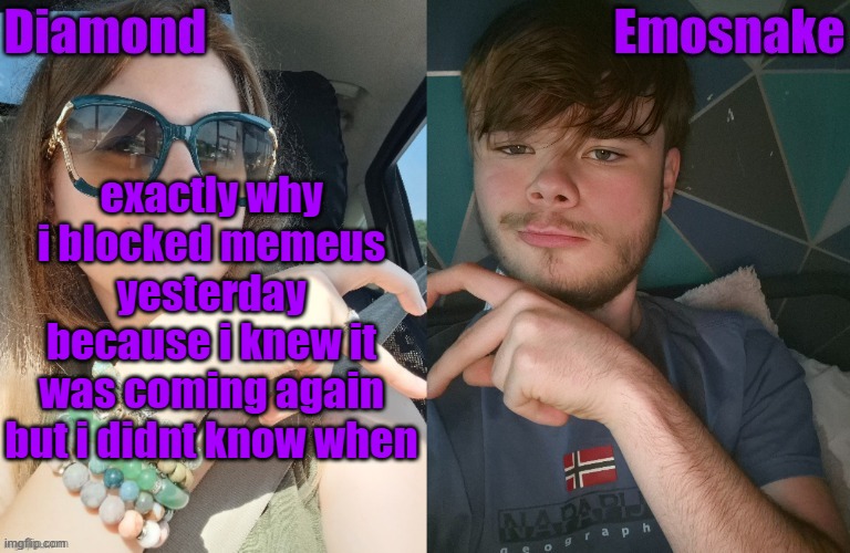 Diamond and ES shared couple temp | exactly why i blocked memeus yesterday because i knew it was coming again but i didnt know when | image tagged in diamond and es shared couple temp | made w/ Imgflip meme maker