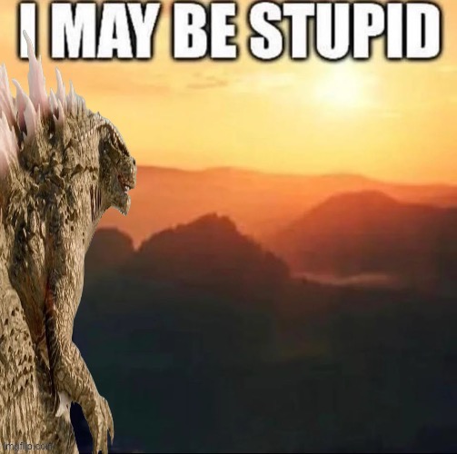 I am stupid | image tagged in i may be stupid | made w/ Imgflip meme maker