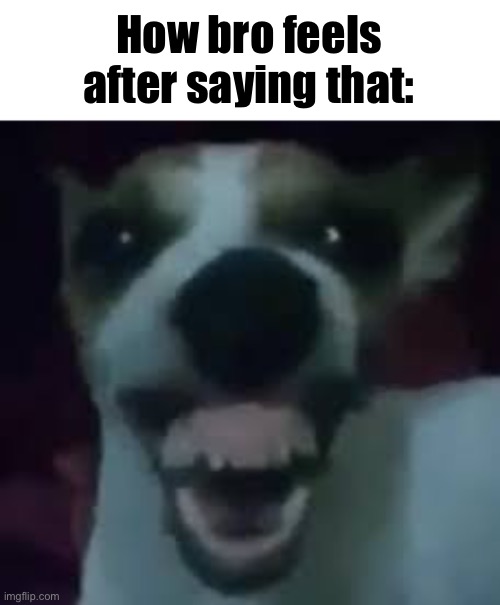 Laughing dog | How bro feels after saying that: | image tagged in laughing dog | made w/ Imgflip meme maker