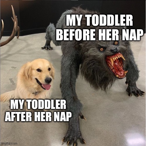 dog vs werewolf | MY TODDLER BEFORE HER NAP; MY TODDLER AFTER HER NAP | image tagged in dog vs werewolf,nap time,toddler | made w/ Imgflip meme maker