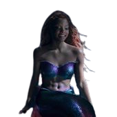 not ariel Meme Template
