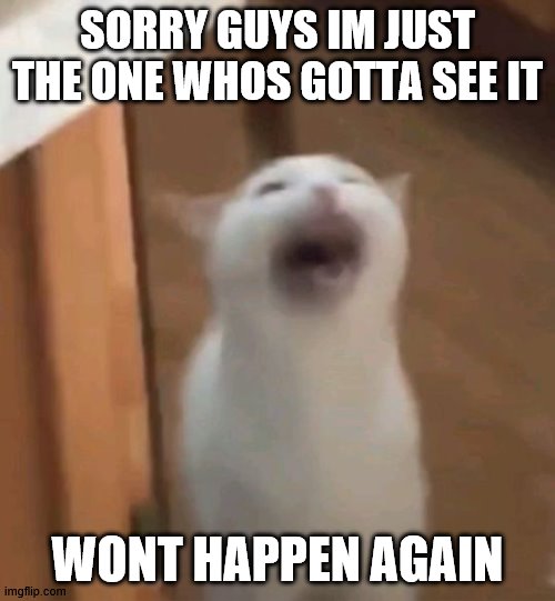 screaming cat | SORRY GUYS IM JUST THE ONE WHOS GOTTA SEE IT; WONT HAPPEN AGAIN | image tagged in screaming cat | made w/ Imgflip meme maker