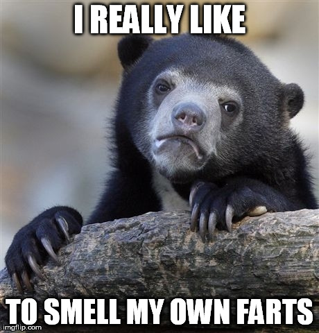 Confession Bear Meme | I REALLY LIKE TO SMELL MY OWN FARTS | image tagged in memes,confession bear | made w/ Imgflip meme maker