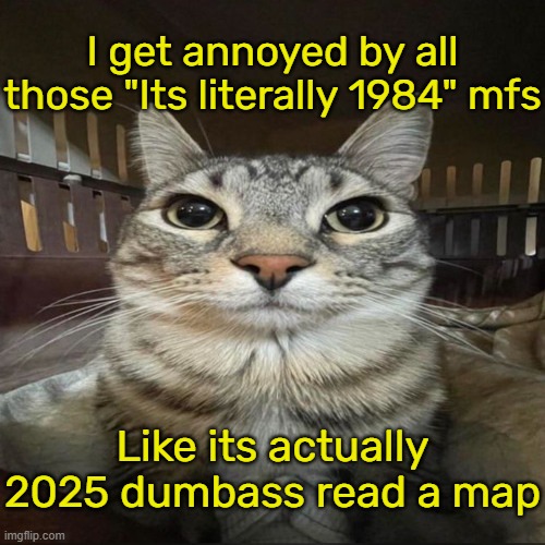 Awkward Cat | I get annoyed by all those "Its literally 1984" mfs; Like its actually 2025 dumbass read a map | image tagged in awkward cat | made w/ Imgflip meme maker