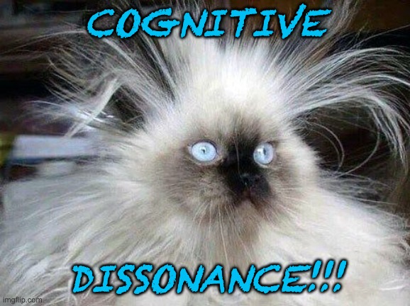 Crazy Hair Cat | COGNITIVE DISSONANCE!!! | image tagged in crazy hair cat | made w/ Imgflip meme maker