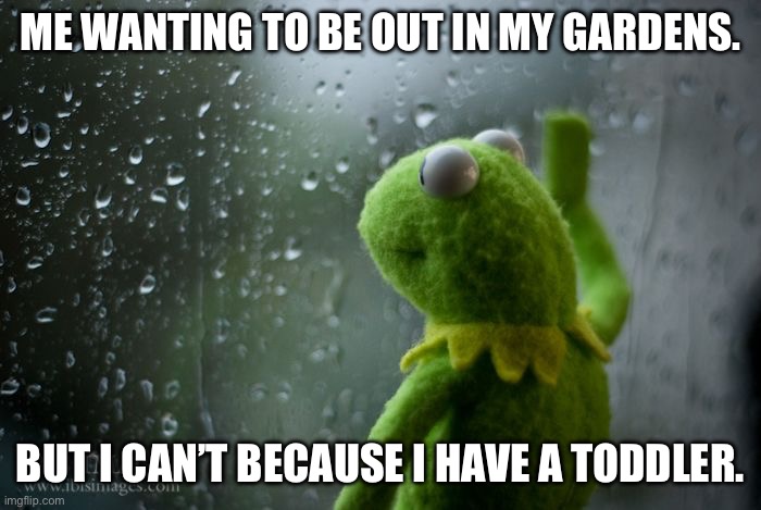 kermit window | ME WANTING TO BE OUT IN MY GARDENS. BUT I CAN’T BECAUSE I HAVE A TODDLER. | image tagged in kermit window | made w/ Imgflip meme maker