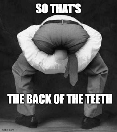 SO THAT'S THE BACK OF THE TEETH | image tagged in guy with head up his ass | made w/ Imgflip meme maker