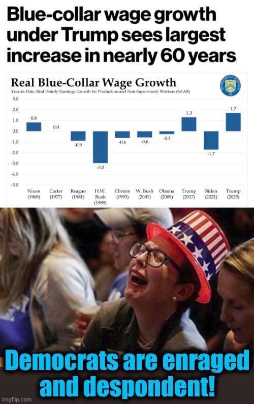 Democrats are enraged
and despondent! | image tagged in crying liberal,memes,blue collar,wage growth,trump derangement syndrome,democrats | made w/ Imgflip meme maker