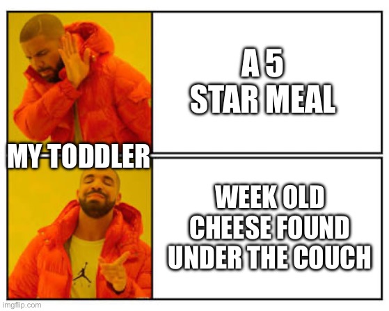 No - Yes | A 5 STAR MEAL; MY TODDLER; WEEK OLD CHEESE FOUND UNDER THE COUCH | image tagged in no - yes,toddler,5 star meal,week old cheese,floor food | made w/ Imgflip meme maker