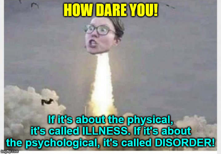 HOW DARE YOU! If it's about the physical, it's called ILLNESS. If it's about the psychological, it's called DISORDER! | made w/ Imgflip meme maker