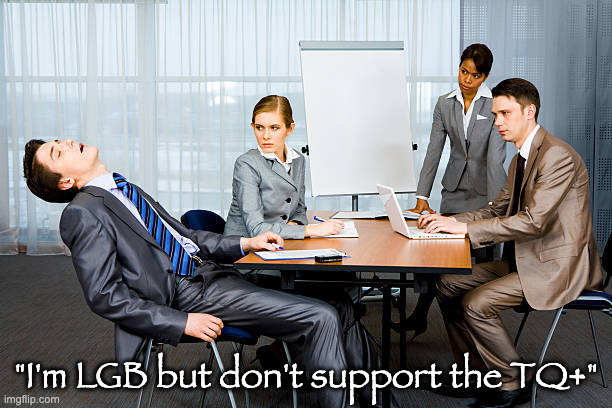 Zzzzzzz... | "I'm LGB but don't support the TQ+" | image tagged in zzzzzzz | made w/ Imgflip meme maker