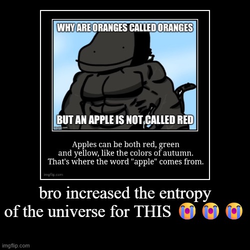 bro increased the entropy of the universe for THIS ??? | | image tagged in funny,demotivationals | made w/ Imgflip demotivational maker