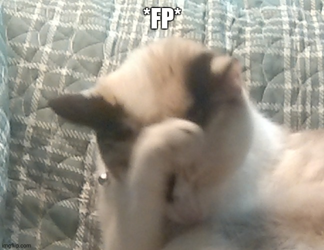 Facepalm | *FP* | image tagged in omg,wtf | made w/ Imgflip meme maker