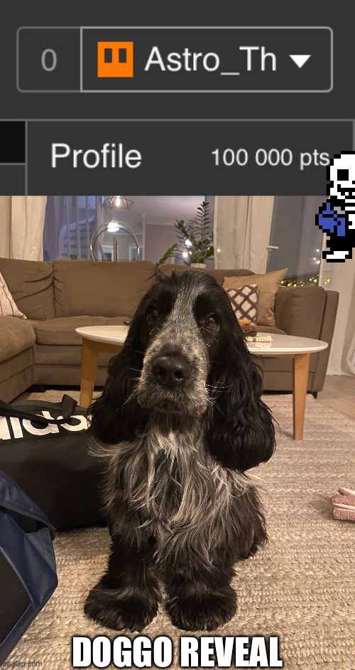 100k points! | DOGGO REVEAL | made w/ Imgflip meme maker