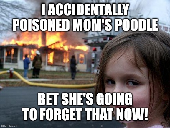 Disaster Girl | I ACCIDENTALLY POISONED MOM'S POODLE; BET SHE'S GOING TO FORGET THAT NOW! | image tagged in memes,disaster girl | made w/ Imgflip meme maker