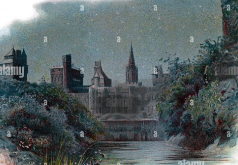 Castle Blank Meme Template