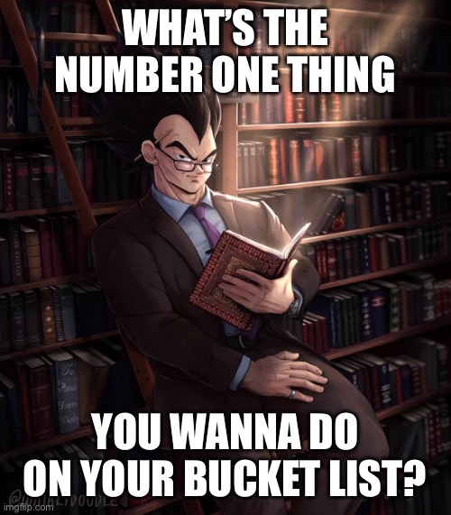 Mine is being friends with my fav YouTuber | WHAT’S THE NUMBER ONE THING; YOU WANNA DO ON YOUR BUCKET LIST? | image tagged in librarian vegeta | made w/ Imgflip meme maker